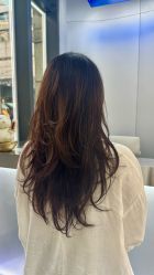 -M6 SALON