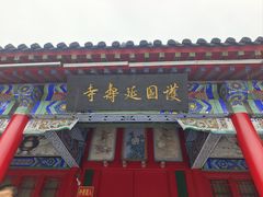 -西塔