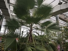 -沈阳植物园