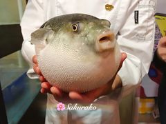 -天正河鲀·河豚亭(大连店)