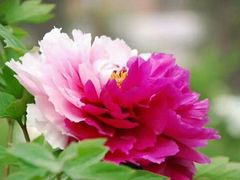 -洛阳市隋唐城遗址植物园
