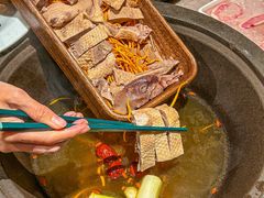 -芸山季·云南野生菌火锅(宝能环球汇店)