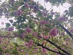 -苏州河梦清园环保主题公园