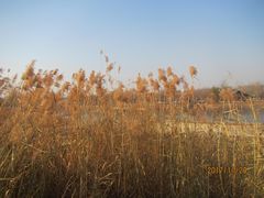 -永定河休闲森林公园