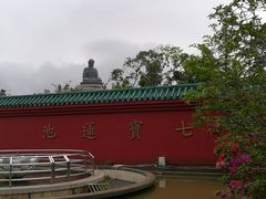 -宝莲禅寺