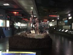 -金钉子远古世界景区