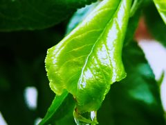 -天津东丽湖风景区