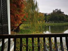-映月湖公园