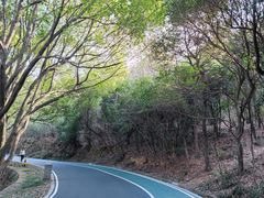 -惠山国家森林公园
