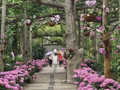 -广西壮族自治区药用植物园