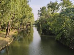 -溱湖国家湿地公园