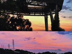 -福道