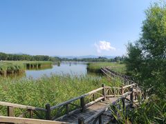 -野鸭湖国家湿地公园