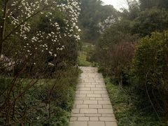 -常德桃花源景区