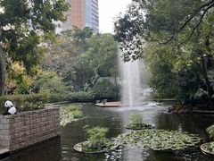 -九龙公园