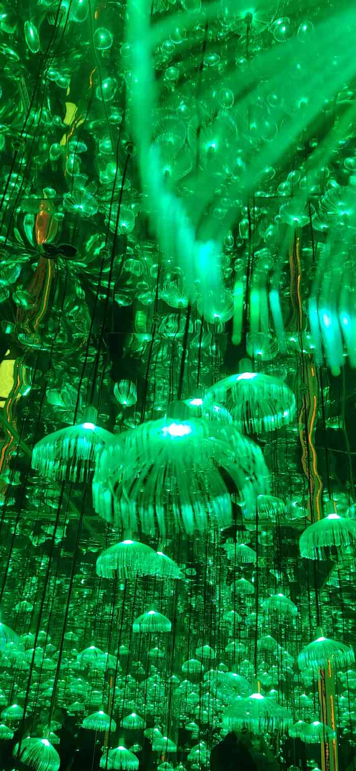 杭州西湖星空魔幻城(星空艺术馆品牌旗舰店)-"真的很适合拍照,bling