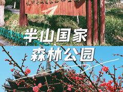 -杭州半山国家森林公园