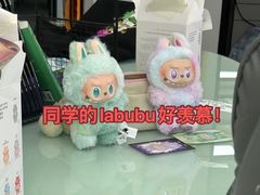 -JT PREP国际学科课程·IB·AP·Alevel(陆家嘴校区)