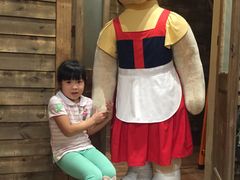 -济州岛泰迪熊博物馆