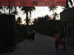 -东郊椰林