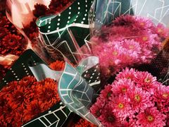 -溪岸路花鸟市场