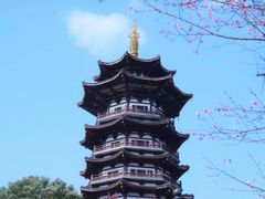 -洋湖国家湿地公园