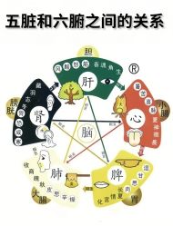 -克丽缇娜