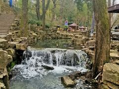 -兴福老面馆(寺路街店)