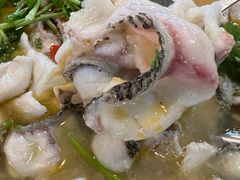 -大鼎石锅鱼(春江里店)