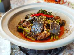 姜汁甲鱼-临江宴(陆家嘴店)