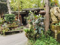 -青城甲(青城山店)