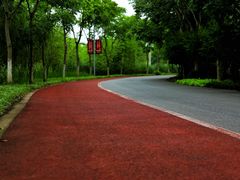 -上海长兴岛郊野公园