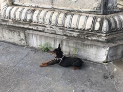 -长春观