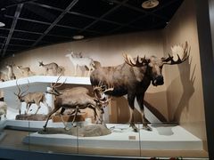 -陕西自然博物馆