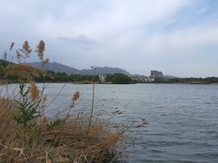 -青龙湖公园