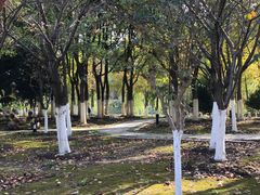 -江南大学(蠡湖校区)