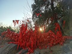 -泰山风景名胜区