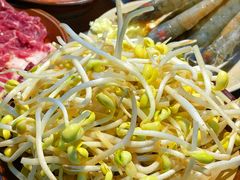 -阳阳老火锅(小南门店)