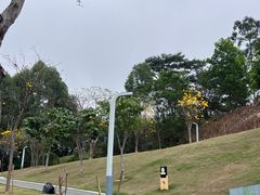 -白石龙音乐公园