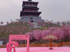 -古柏渡飞黄旅游区