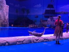 -华夏文旅海洋公园