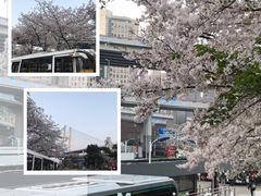 -上海南浦大桥长途旅游客运站