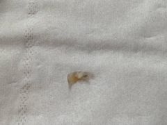 -山崎面包(静安久光店)