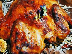 -Hi City·城市之巅