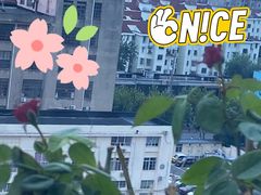 王道椒香鸡腿-汉堡王(上海凌云壹街坊店)
