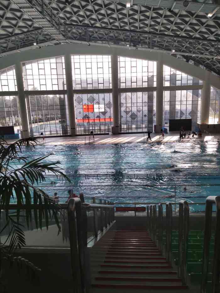 郫都区游泳馆图片