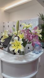 -HaLo hair studio