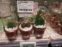 -盒马X会员店(上海森兰商都店)