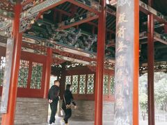 -晋祠公园