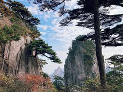-黄山风景区